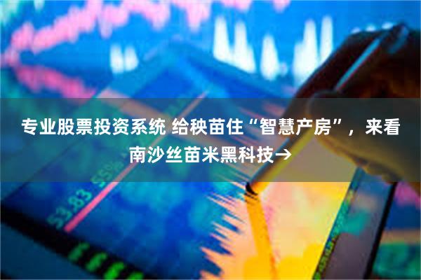 专业股票投资系统 给秧苗住“智慧产房”，来看南沙丝苗米黑科技→