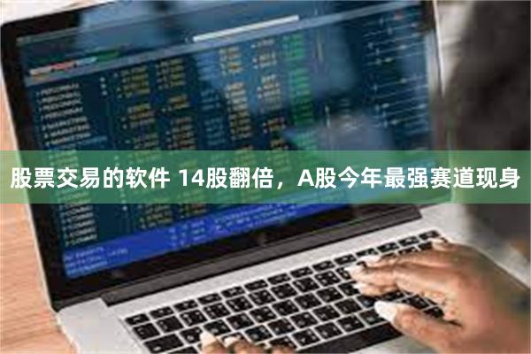 股票交易的软件 14股翻倍，A股今年最强赛道现身