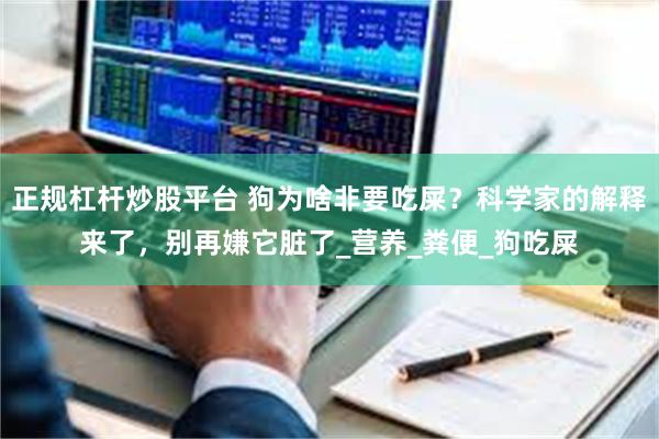 正规杠杆炒股平台 狗为啥非要吃屎？科学家的解释来了，别再嫌它脏了_营养_粪便_狗吃屎