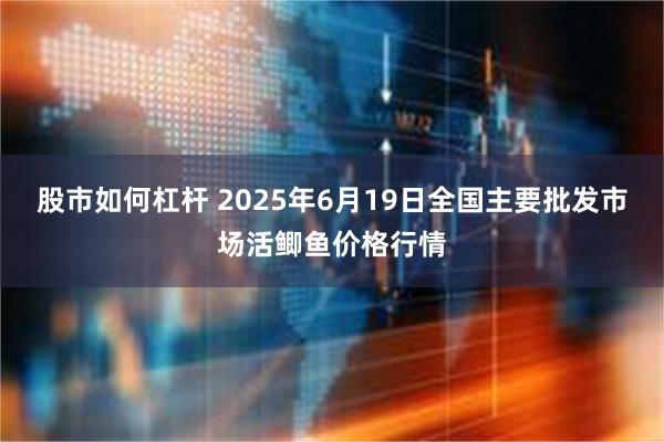 股市如何杠杆 2025年6月19日全国主要批发市场活鲫鱼价格行情