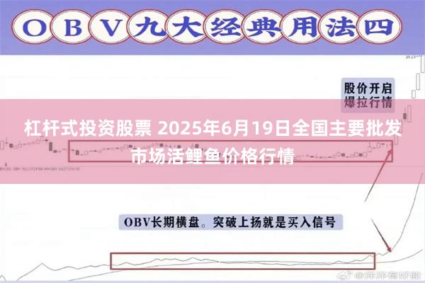 杠杆式投资股票 2025年6月19日全国主要批发市场活鲤鱼价格行情