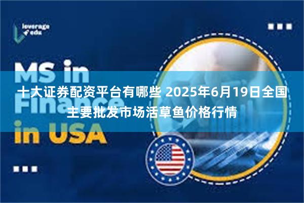 十大证券配资平台有哪些 2025年6月19日全国主要批发市场活草鱼价格行情