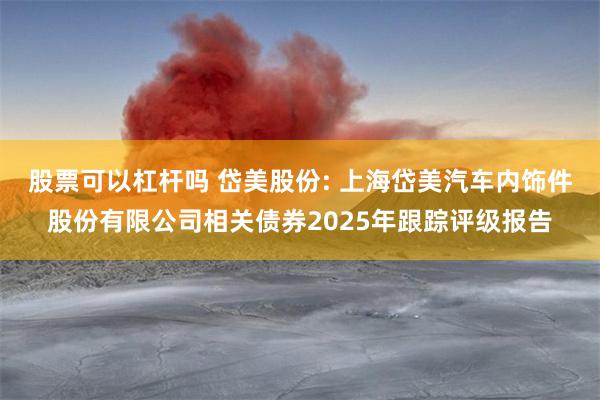 股票可以杠杆吗 岱美股份: 上海岱美汽车内饰件股份有限公司相关债券2025年跟踪评级报告