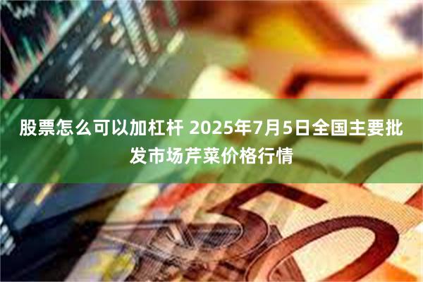股票怎么可以加杠杆 2025年7月5日全国主要批发市场芹菜价格行情