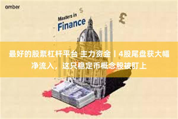 最好的股票杠杆平台 主力资金丨4股尾盘获大幅净流入，这只稳定币概念股被盯上