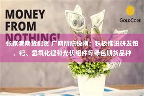 张家港期货配资 广期所陈锐刚：积极推进研发铂、钯、氢氧化锂和光伏组件等绿色期货品种