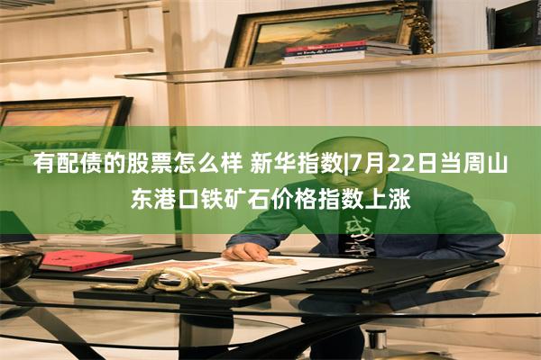 有配债的股票怎么样 新华指数|7月22日当周山东港口铁矿石价格指数上涨