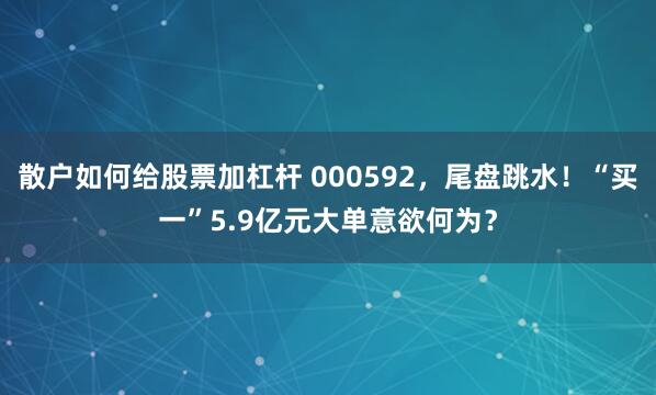 散户如何给股票加杠杆 000592，尾盘跳水！“买一”5.9亿元大单意欲何为？